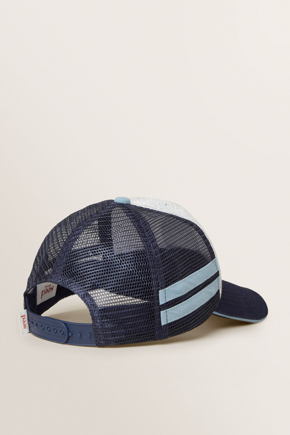 Lion Cap  