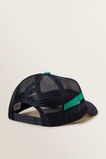 Dino Cap    hi-res