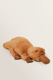 Lollybob Platypus    hi-res