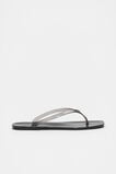 Elle Jelly Flip Flop  Black  hi-res