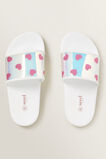 Heart Slide    hi-res