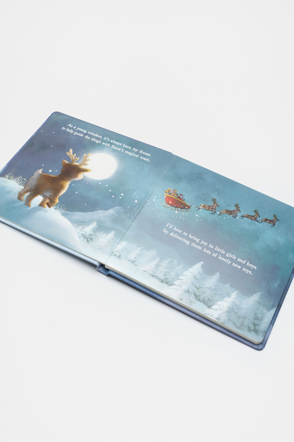 A Reindeer's Dream Book  Multi