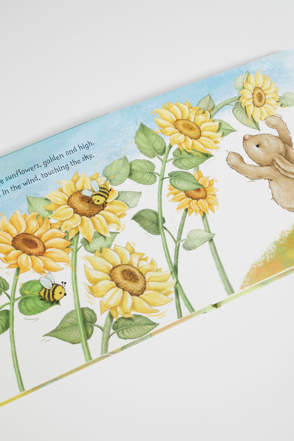 Jellycat Little Me Book  Multi