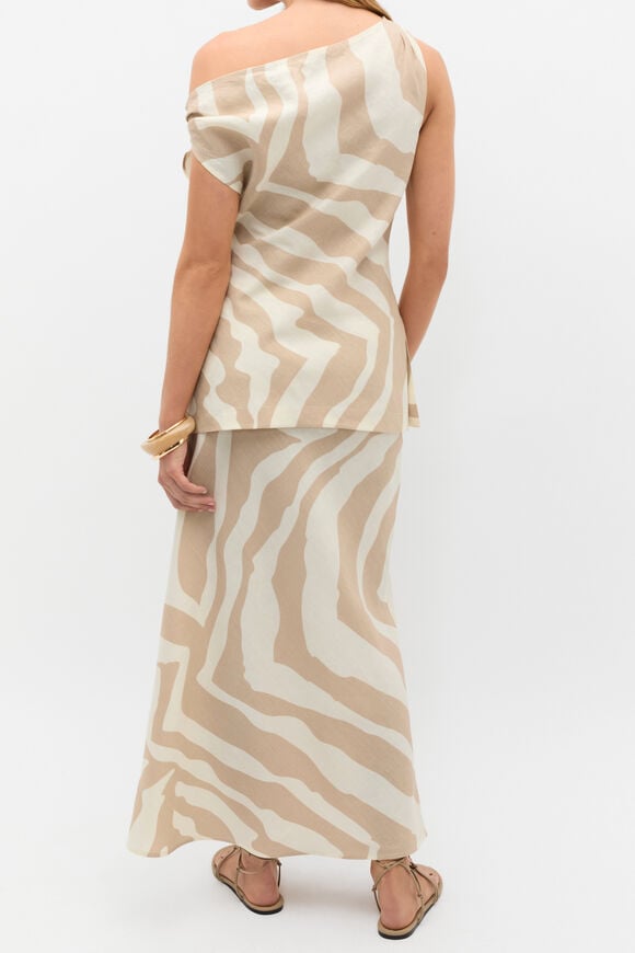 Abstract Animal Asymmetric Top  Abstract Animal  hi-res