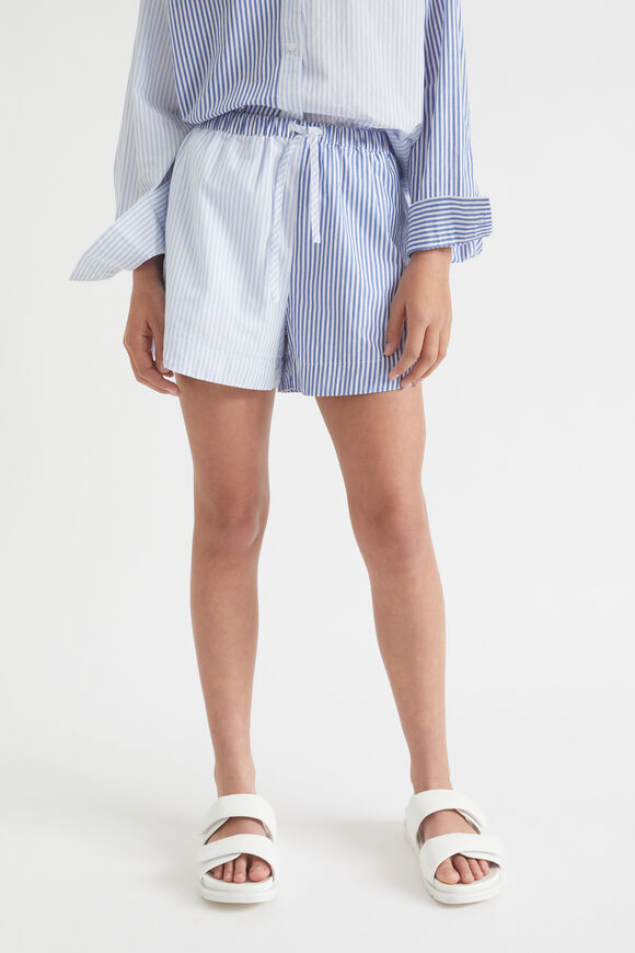 Stripe Short  Multi  hi-res