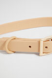 Pet Collar  Light Chestnut  hi-res