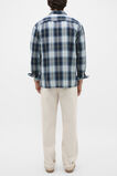 Long Sleeve Cotton Check Shirt  Blue Check  hi-res