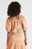 Check Top  Passiona  hi-res