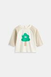 Tree Raglan Tee  Cool Stone  hi-res