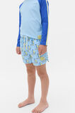 Sailboats Boardshort  Arctic  hi-res