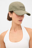 Seed Cap  Caper  hi-res