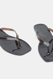 Elle Jelly Flip Flop  Chocolate  hi-res
