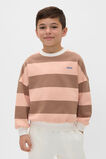 Bold Stripe Sweat  Walnut Stripe  hi-res