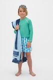 Waves Boardshort  Multi  hi-res