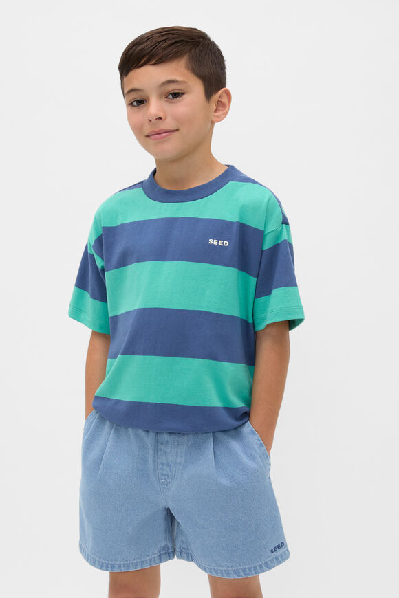 Bold Stripe Tee  Washed Navy  hi-res
