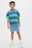 Bold Stripe Tee  Washed Navy  hi-res
