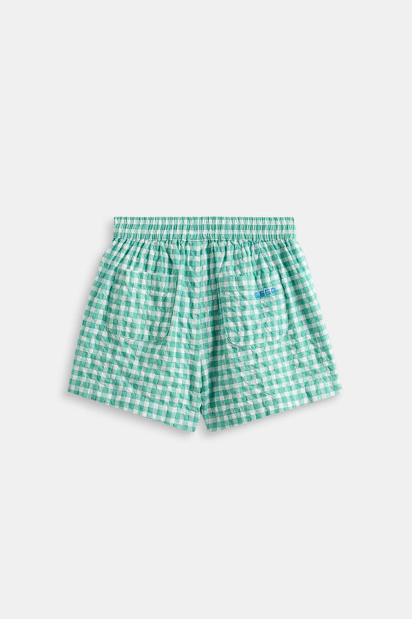 Check Short  Mint Check  hi-res
