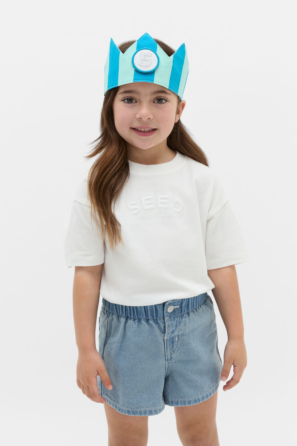 Birthday Crown  Blue Multi