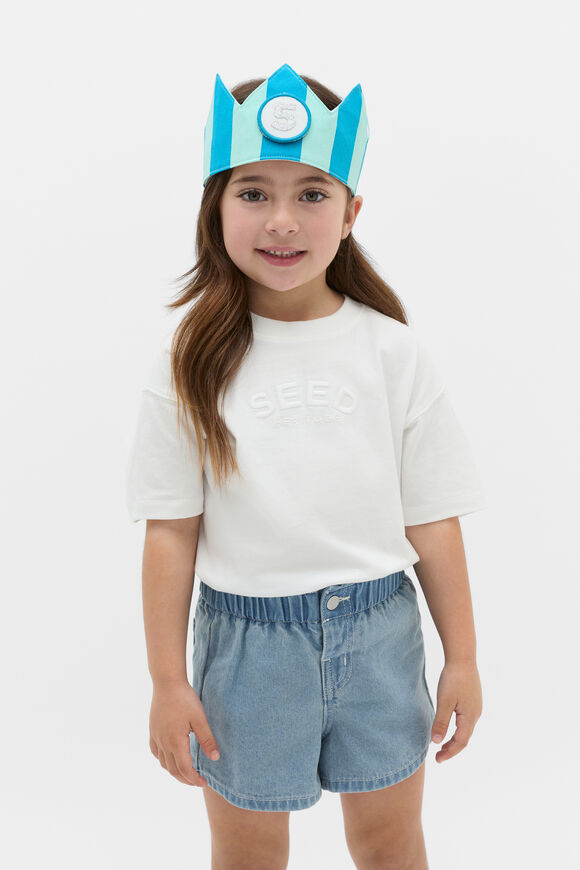 Birthday Crown  Blue Multi  hi-res