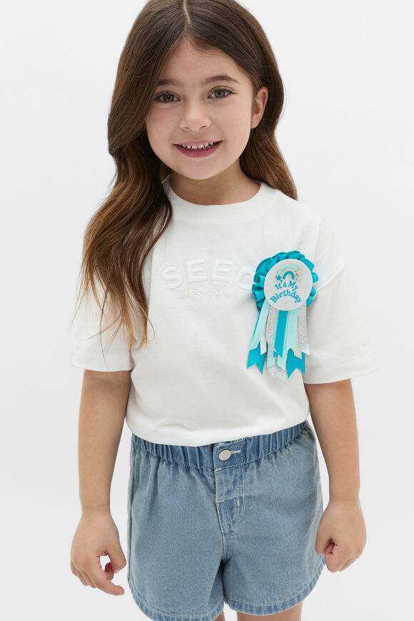 Birthday Badge  Blue Multi  hi-res