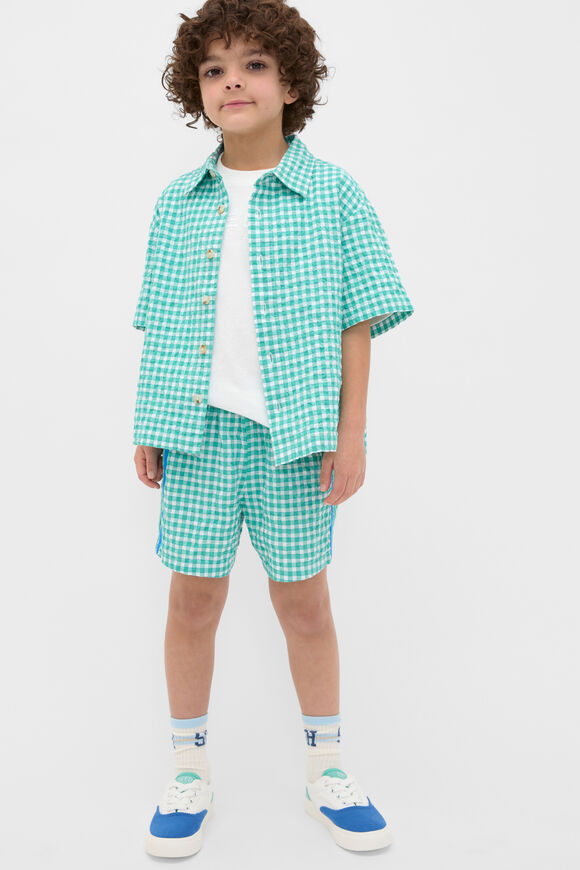 Boxy Check Shirt  Mint Check  hi-res