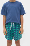 Geometric Print Short  Multi  hi-res
