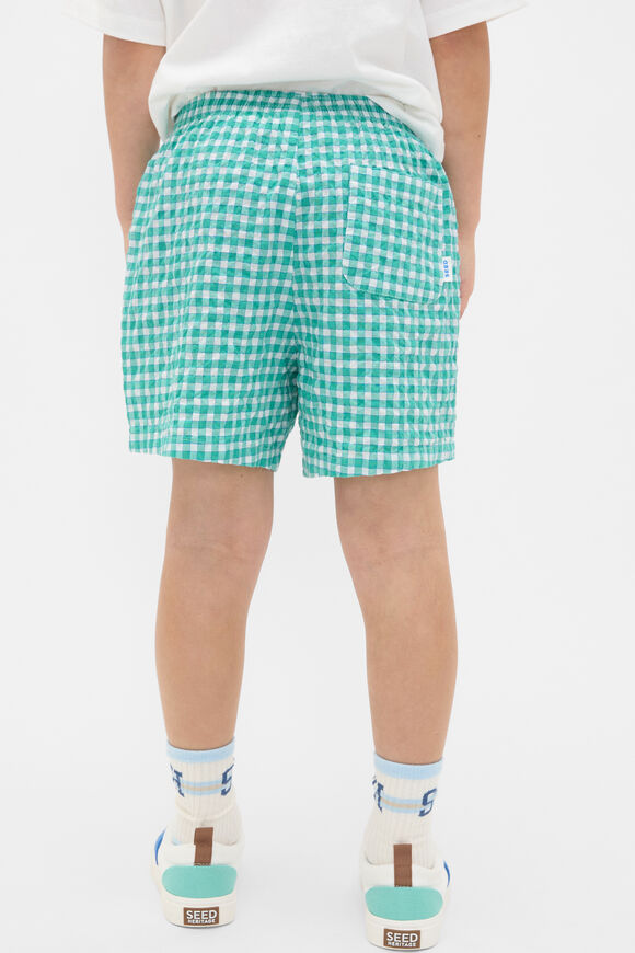 Check Sports Short  Mint Check  hi-res