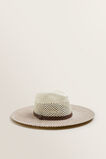 Two Tone Panama    hi-res