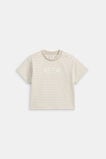 Core Stripe Logo Tee  Cool Stone  hi-res