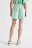 Linen Tie Short  Key Lime Stripe  hi-res