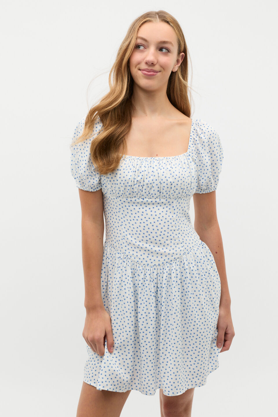Ditsy Dress  Canvas