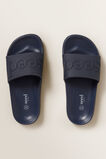 Seed Pool Slider    hi-res
