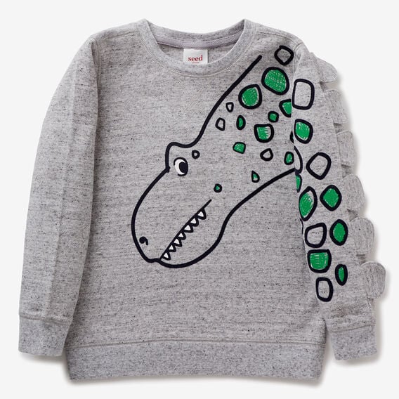 Novelty Dino Sweater
