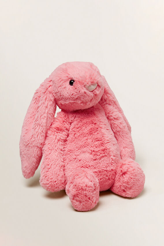 bashful biscuit bunny