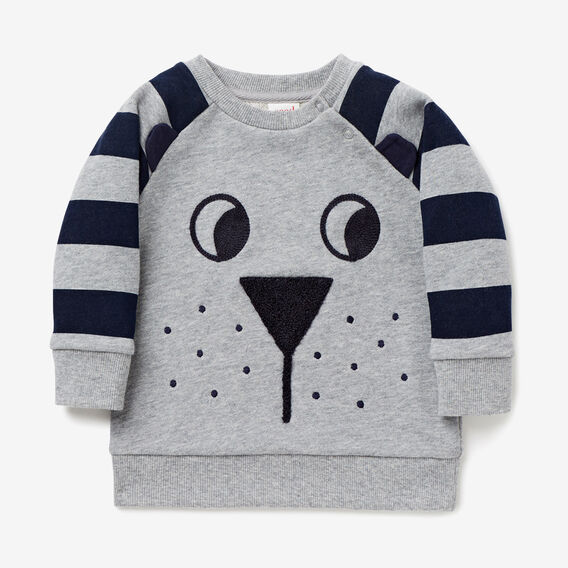 Raglan Novelty Sweater Seed Heritage