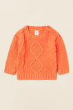 Cable Knit  Tangerine  hi-res