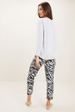 Zebra Pyjamas  Cloud  hi-res