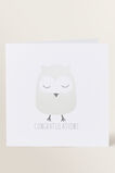 Large Owl Card    hi-res