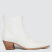 Ginny Pointed Boot  1  hi-res