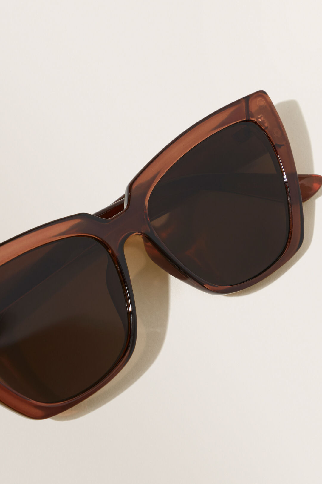 Tash Cateye Sunglasses  Brown  hi-res