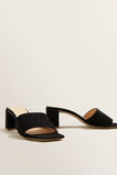 Remy Mule    hi-res