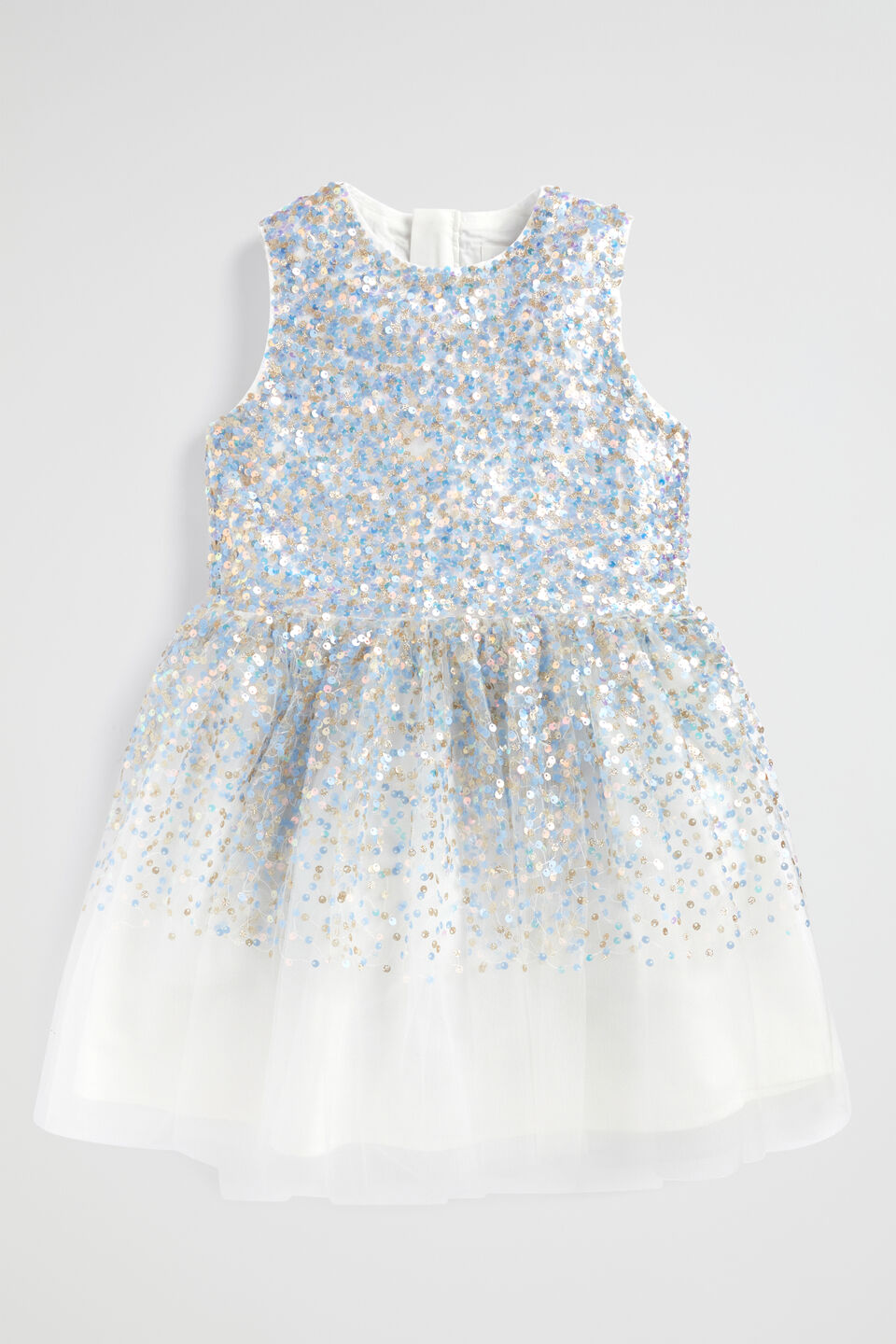 Sequin Dress  Canvas