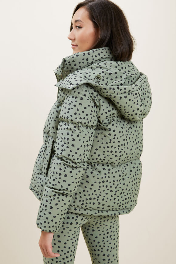 Ocelot Puffer  Multi Spot  hi-res