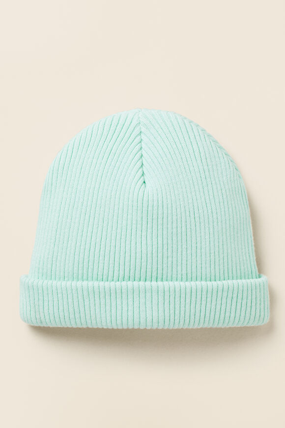 Rib Knit Beanie  Fresh Mint  hi-res