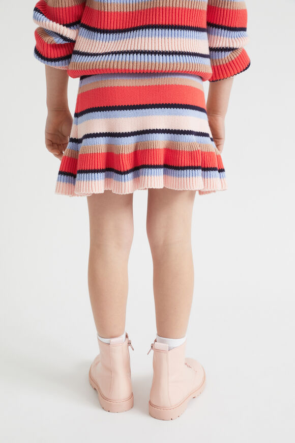 Knit Skirt  Multi  hi-res