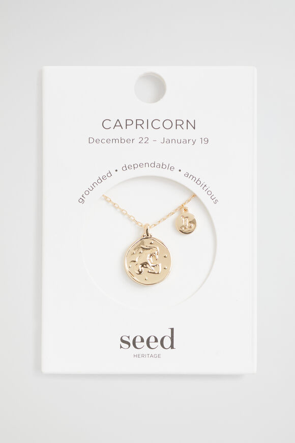 Zodiac Necklace  Capricorn  hi-res