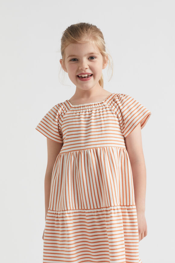 Multi Stripe Dress  Cinnamon  hi-res