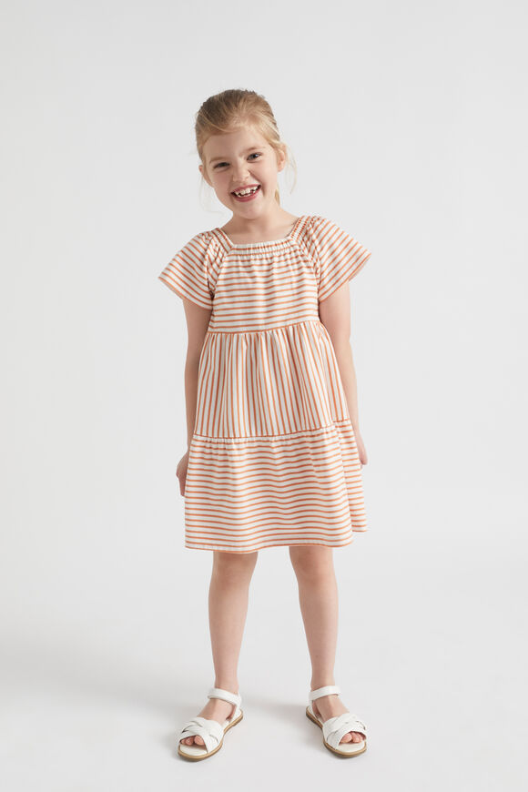 Multi Stripe Dress  Cinnamon  hi-res