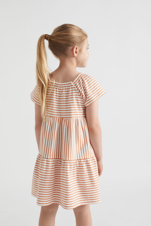 Multi Stripe Dress  Cinnamon  hi-res