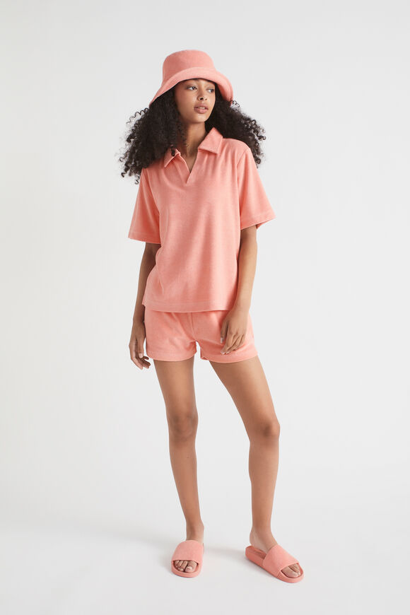 Terry Short  Papaya  hi-res